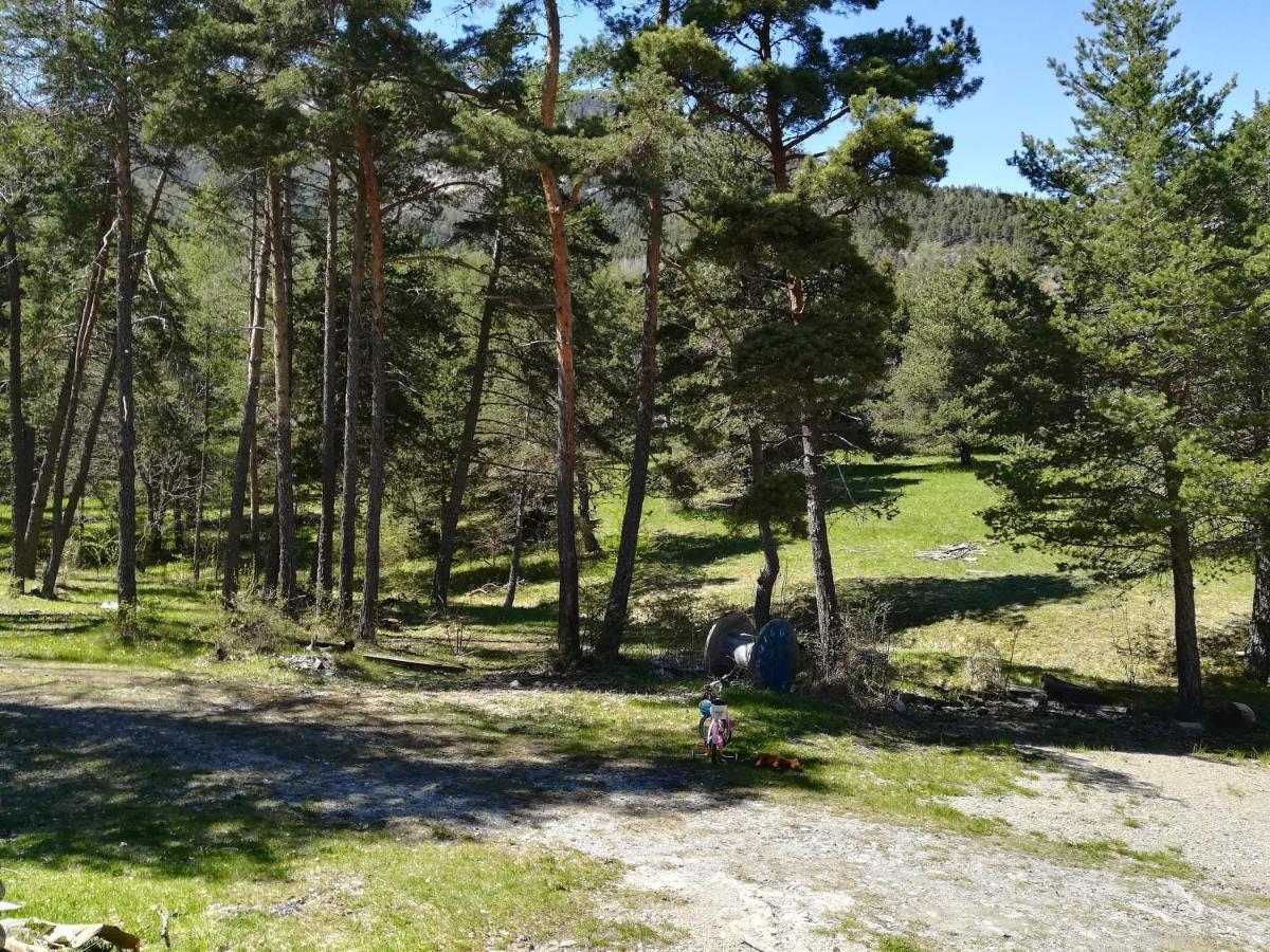 Готель Les Pinees Chateauroux-les-Alpes Екстер'єр фото